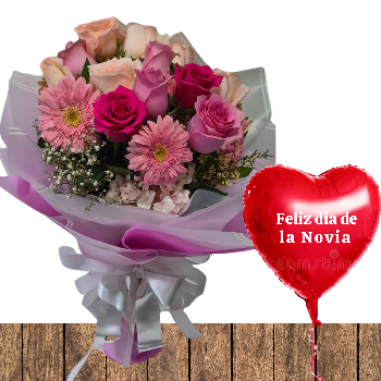 Mi novia Perfecta 